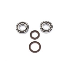 Crankshaft Bearing   Seal Kit