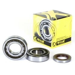 Crankshaft Bearing   Seal Kit