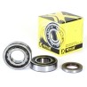 Crankshaft Bearing   Seal Kit