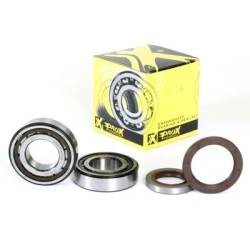 Crankshaft Bearing   Seal Kit