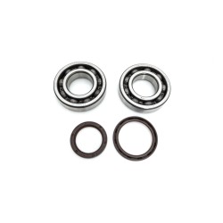 Crankshaft Bearing   Seal Kit