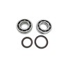 Crankshaft Bearing   Seal Kit