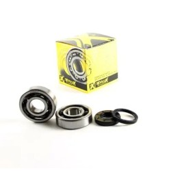 Crankshaft Bearing   Seal Kit