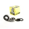 Crankshaft Bearing   Seal Kit