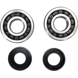 Crankshaft Bearing and Seal Kit