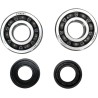 Crankshaft Bearing and Seal Kit