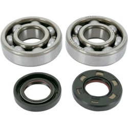 Main Crankshaft Bearing and Seal Kit