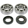 Main Crankshaft Bearing and Seal Kit