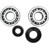 Crankshaft Bearing and Seal Kit