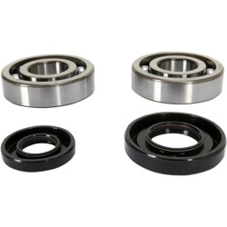Crankshaft Bearing and Seal Kit