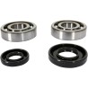 Crankshaft Bearing and Seal Kit