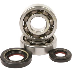 Main Crankshaft Bearing and Seal Kit