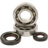 Main Crankshaft Bearing and Seal Kit