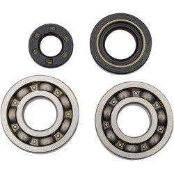 Main Crankshaft Bearing and Seal Kit