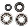 Main Crankshaft Bearing and Seal Kit