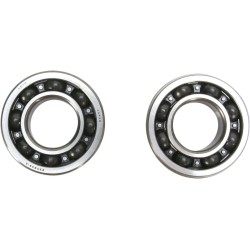 Crankshaft Bearing and Seal Kit