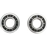Crankshaft Bearing and Seal Kit