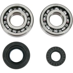 Crank Bearing Seal Kit