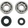 Crank Bearing Seal Kit