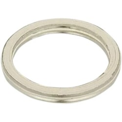 Exhaust Gasket