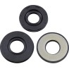 Oil Seal Kit