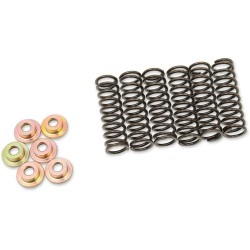 Clutch Spring Kit
