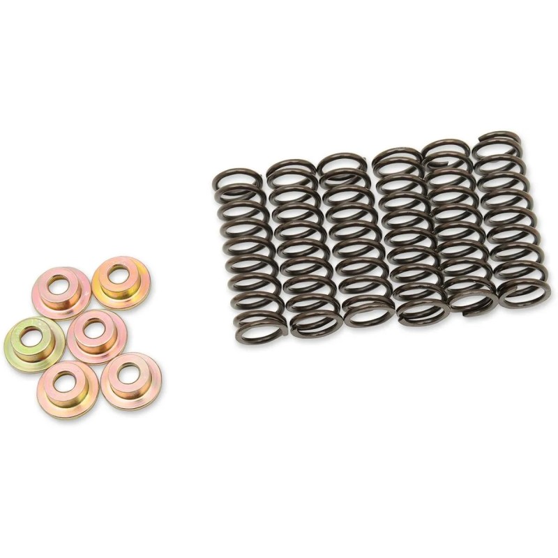 Clutch Spring Kit