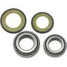 Steering Stem Tapered Roller Bearings and Seals Kit