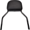 Detachable Backrest Kit