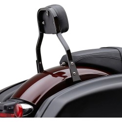 Detachable Backrest Kit