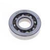 Rolling Bearing