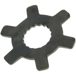 Locking Star Washer