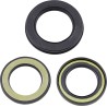 Oil Seal Kit