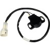 Throttle Position Sensor