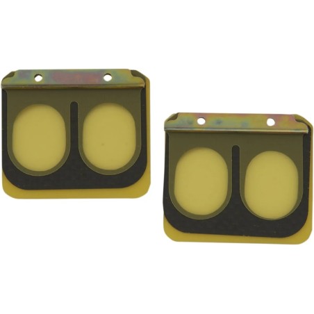 Replacement Pro Series Reed Set for RAD Valve