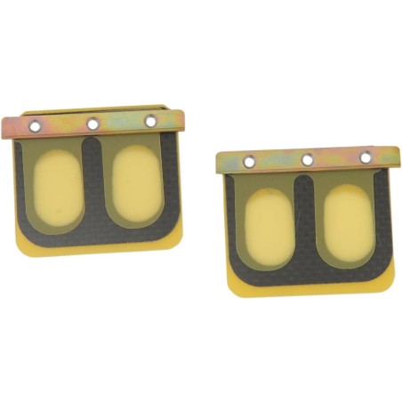 Replacement Pro Series Reed Set for RAD Valve