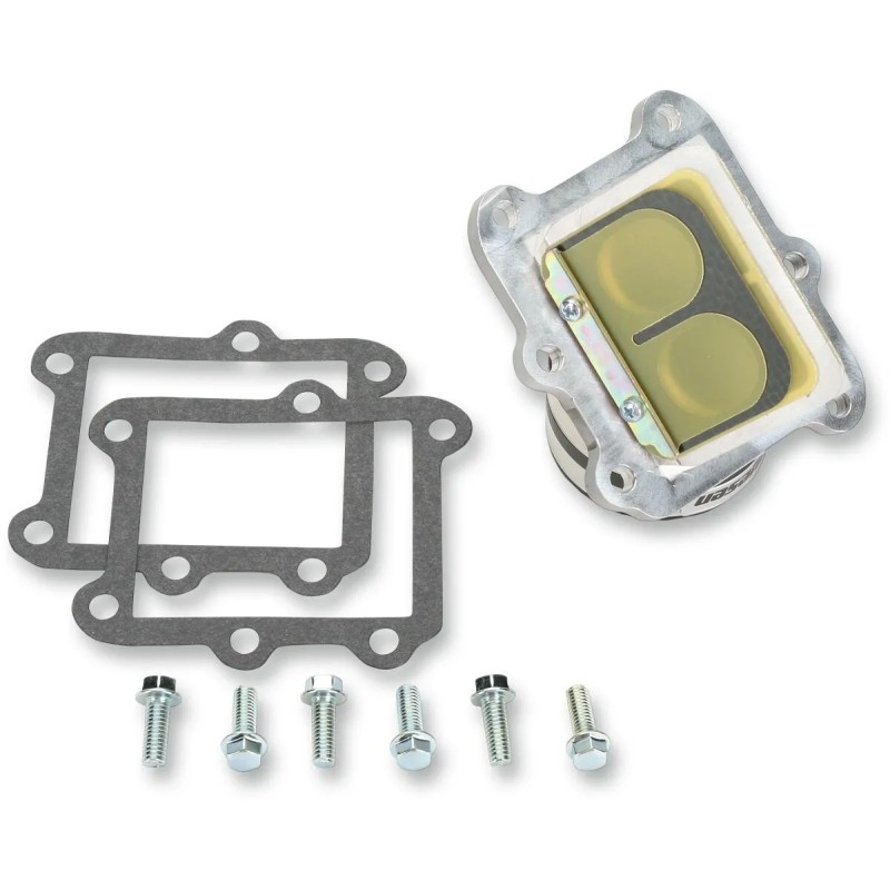 Ensemble cage à clapets Rad Valve