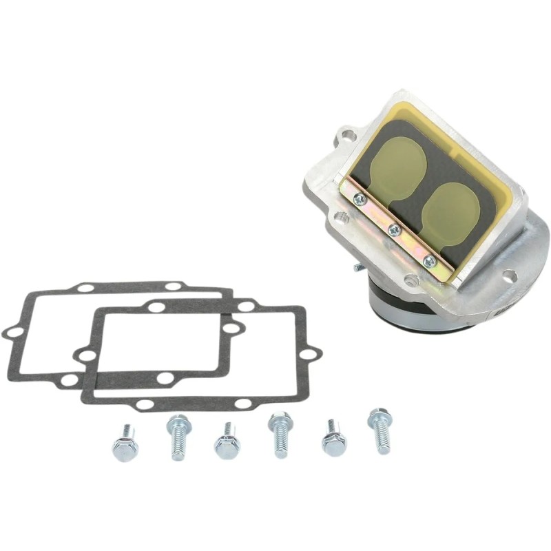 Ensemble cage à clapets Rad Valve