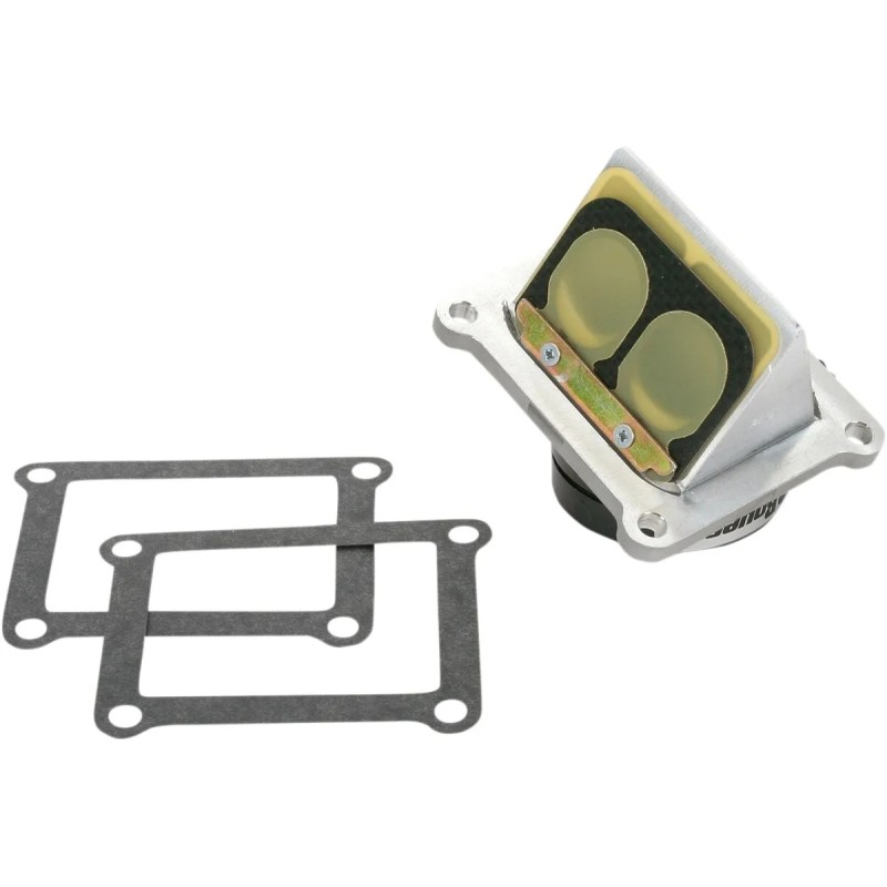 Ensemble cage à clapets Rad Valve