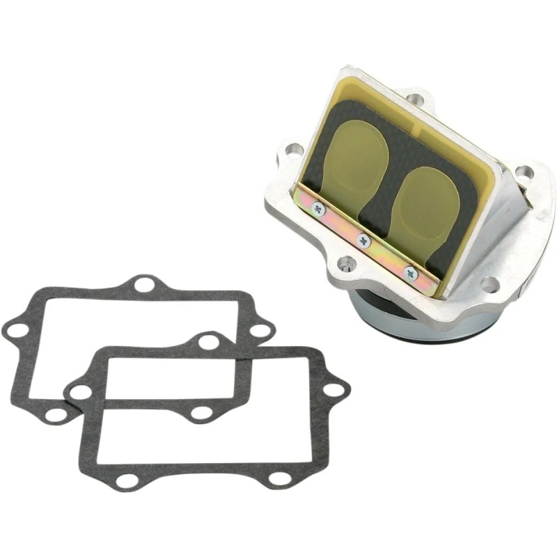 Ensemble cage à clapets Rad Valve