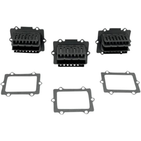 V-Force 3 Reed Valve Set