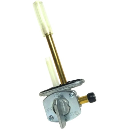 Fuel Petcock Assembly