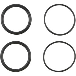 Manifold to Cylinder Head O-Rings