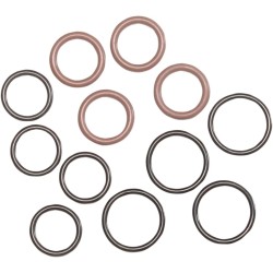 Pushrod O-Ring and Seal Kit
