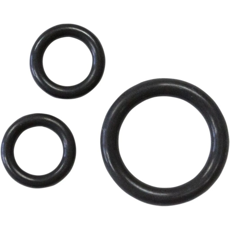 Oil Pump O-ring Kit
