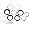 Fork Seal Kit