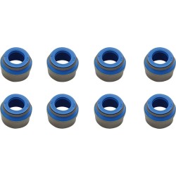 Valve Guide Seals