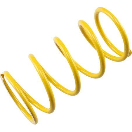 Secondary Clutch Spring