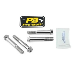 Stainless Steel Caliper Mount Bolt kit