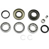 Bearing Seal Kit